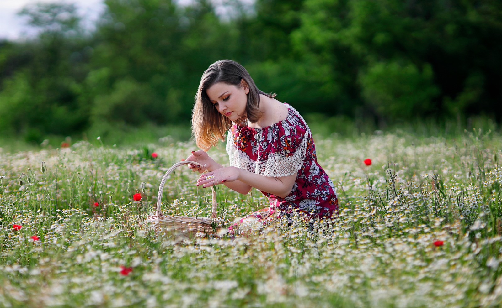 Field 06 1600px